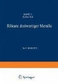 Silicate dreiwertiger Metalle (eBook, PDF)