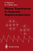Phase Separation in Cuprate Superconductors (eBook, PDF)