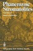 Phanerozoic Stromatolites (eBook, PDF)