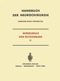 Wirbelsäule und Rückenmark (eBook, PDF)