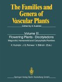 Flowering Plants · Dicotyledons (eBook, PDF)