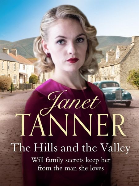Hills and the Valley (eBook, ePUB)