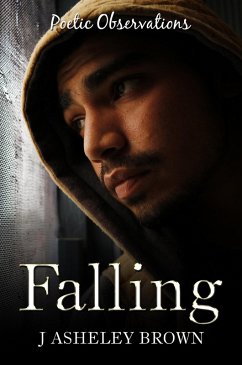 Cover Falling (eBook, ePUB)