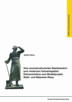 Vom monostrukturierten Stahlstandort zum modernen Industriegebiet: Dokumentation zum Modellprojekt Stahl- und Walzwerk Riesa (eBook, PDF) - Rehse, Sybille