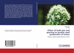 Effect of bulb size and spacing on quality seed production of onion