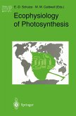 Ecophysiology of Photosynthesis (eBook, PDF) Ecophysiology of Photosynthesis (eBook, PDF)