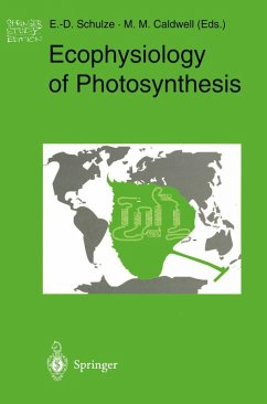 Cover Ecophysiology of Photosynthesis (eBook, PDF)