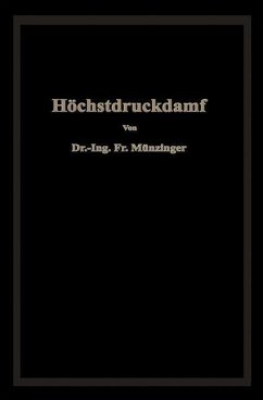Höchstdruckdampf (eBook, PDF) - Münzinger, Friedrich