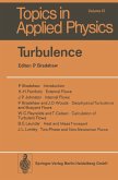 Turbulence (eBook, PDF)