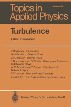 Cover Turbulence (eBook, PDF)