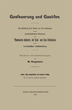 Cover Gasfeuerung und Gasöfen (eBook, PDF)