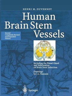 Human Brain Stem Vessels (eBook, PDF) - Duvernoy, Henri M.