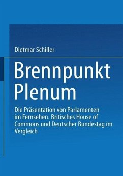 Brennpunkt Plenum (eBook, PDF) - Schiller, Dietmar