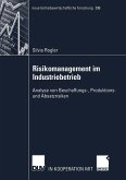 Risikomanagement im Industriebetrieb (eBook, PDF)