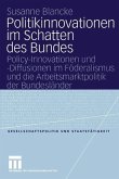 Politikinnovationen im Schatten des Bundes (eBook, PDF)