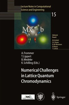 Numerical Challenges in Lattice Quantum Chromodynamics (eBook, PDF)