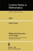 Differential Geometry in the Large (eBook, PDF)