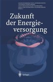 Zukunft der Energieversorgung (eBook, PDF)
