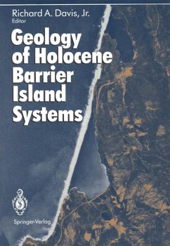 Cover Geology of Holocene Barrier Island Systems (eBook, PDF)