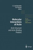 Molecular Interactions of Actin (eBook, PDF)