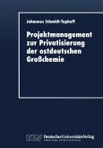 Projektmanagement zur Privatisierung der ostdeutschen Großchemie (eBook, PDF)