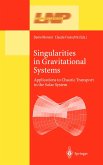 Singularities in Gravitational Systems (eBook, PDF)