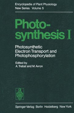 Cover Photosynthesis I (eBook, PDF)