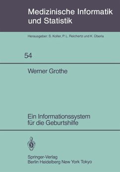 Ein Informationssystem für die Geburtshilfe (eBook, PDF) - Grothe, W.