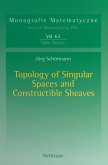Topology of Singular Spaces and Constructible Sheaves (eBook, PDF)