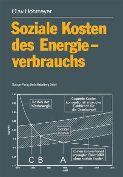 Soziale Kosten des Energieverbrauchs (eBook, PDF) - Hohmeyer, Olav