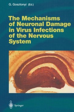 The Mechanisms of Neuronal Damage in Virus Infections of the Nervous System (eBook, PDF)