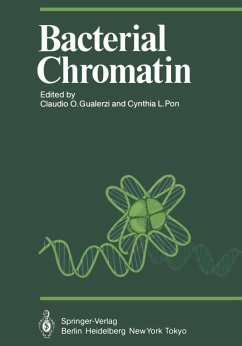 Cover Bacterial Chromatin (eBook, PDF)