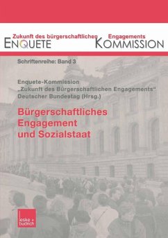 Bürgerschaftliches Engagement und Sozialstaat (eBook, PDF)