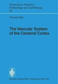The Vascular System of the Cerebral Cortex (eBook, PDF)