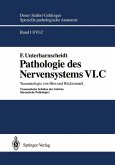 Pathologie des Nervensystems VI.C (eBook, PDF)