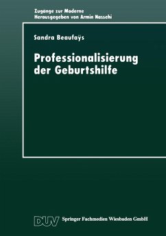 Professionalisierung der Geburtshilfe (eBook, PDF)