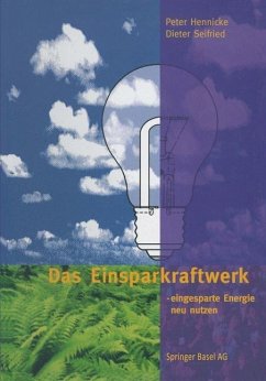 Das Einsparkraftwerk (eBook, PDF) - Hennicke, Peter; Seifried, Dieter