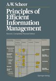 Principles of Efficient Information Management (eBook, PDF)