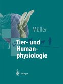 Tier- und Humanphysiologie (eBook, PDF)