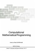 Computational Mathematical Programming (eBook, PDF)