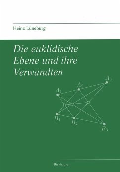 Die euklidische Ebene und ihre Verwandten (eBook, PDF) - Lüneburg, Heinz