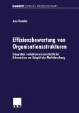 Effizienzbewertung von Organisationsstrukturen (eBook, PDF)