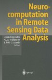 Neurocomputation in Remote Sensing Data Analysis (eBook, PDF)