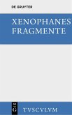 Die Fragmente (eBook, PDF)