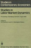 Studies in Labor Market Dynamics (eBook, PDF)