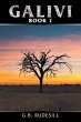 Galivi - Bild 1