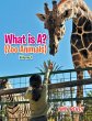What Is A? (Zoo Animals) - Bild 1