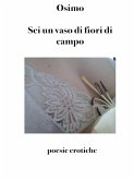 Sei un vaso di fiori di campo (eBook, ePUB)