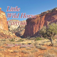 Little Wild Horse Canyon