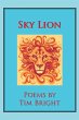 Sky Lion - Bild 1